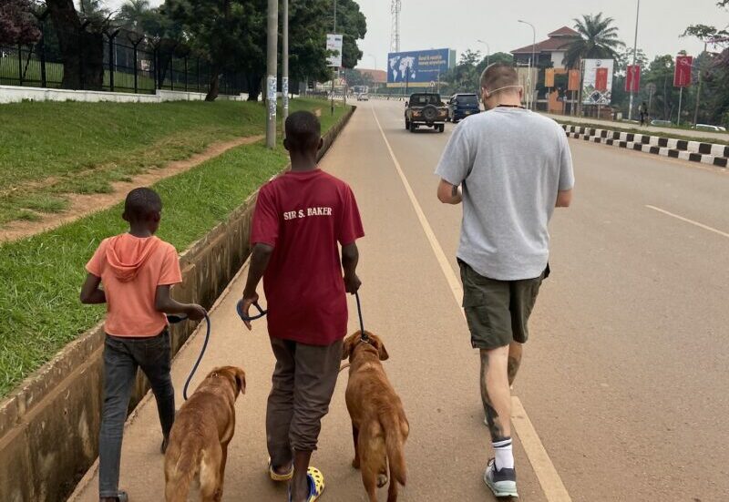 Lichtstrahl uganda therapiehunde gassi