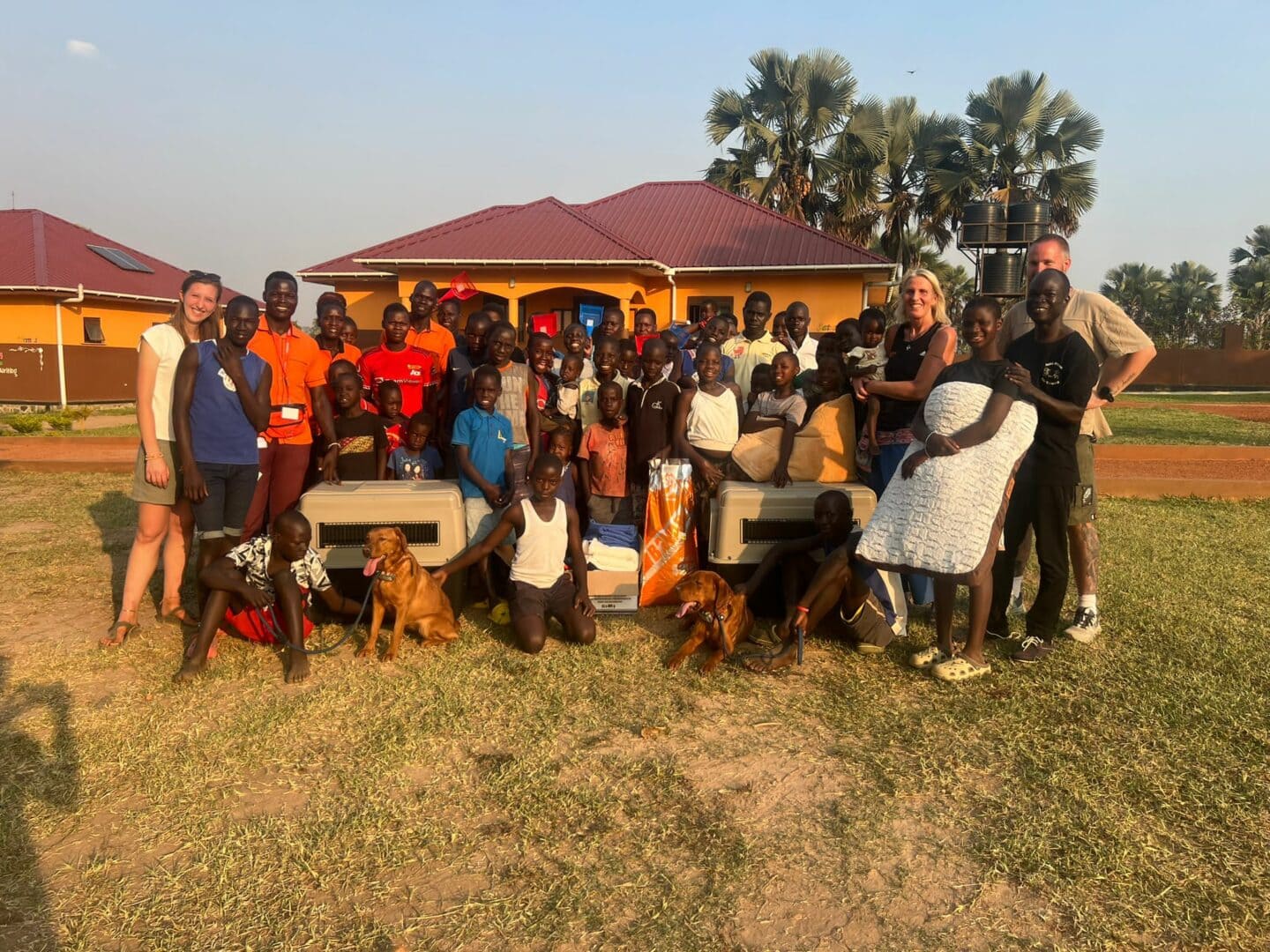 Lichtstrahl uganda therapiehunde gruppe