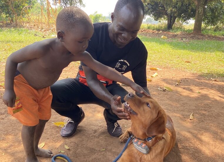 Lichtstrahl uganda therapiehunde kind